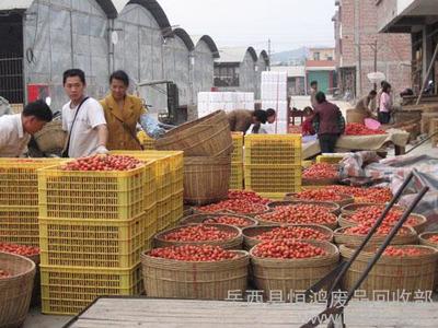 供應恒鴻優質農副產品批發——岳西縣恒鴻廢品回收部農副產品業務介紹