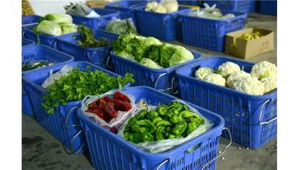 農副產品配送 連接田間與餐桌的現(xiàn)代橋梁