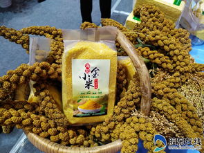 高清圖美翻了！果蔬會上奇瓜異果引爆眼球，農(nóng)副產(chǎn)品煥發(fā)新光彩