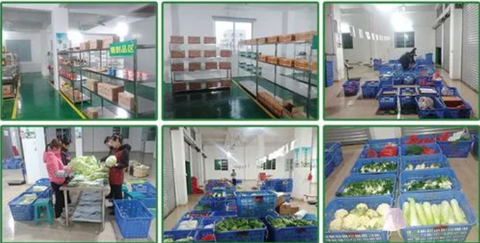 煜鮮農副產品配送 從田間到餐桌，守護您的每一餐新鮮