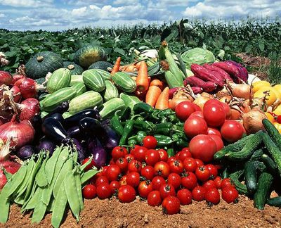 農副產品“價賤傷農”背后 價格低迷為何仍陷銷售困境？